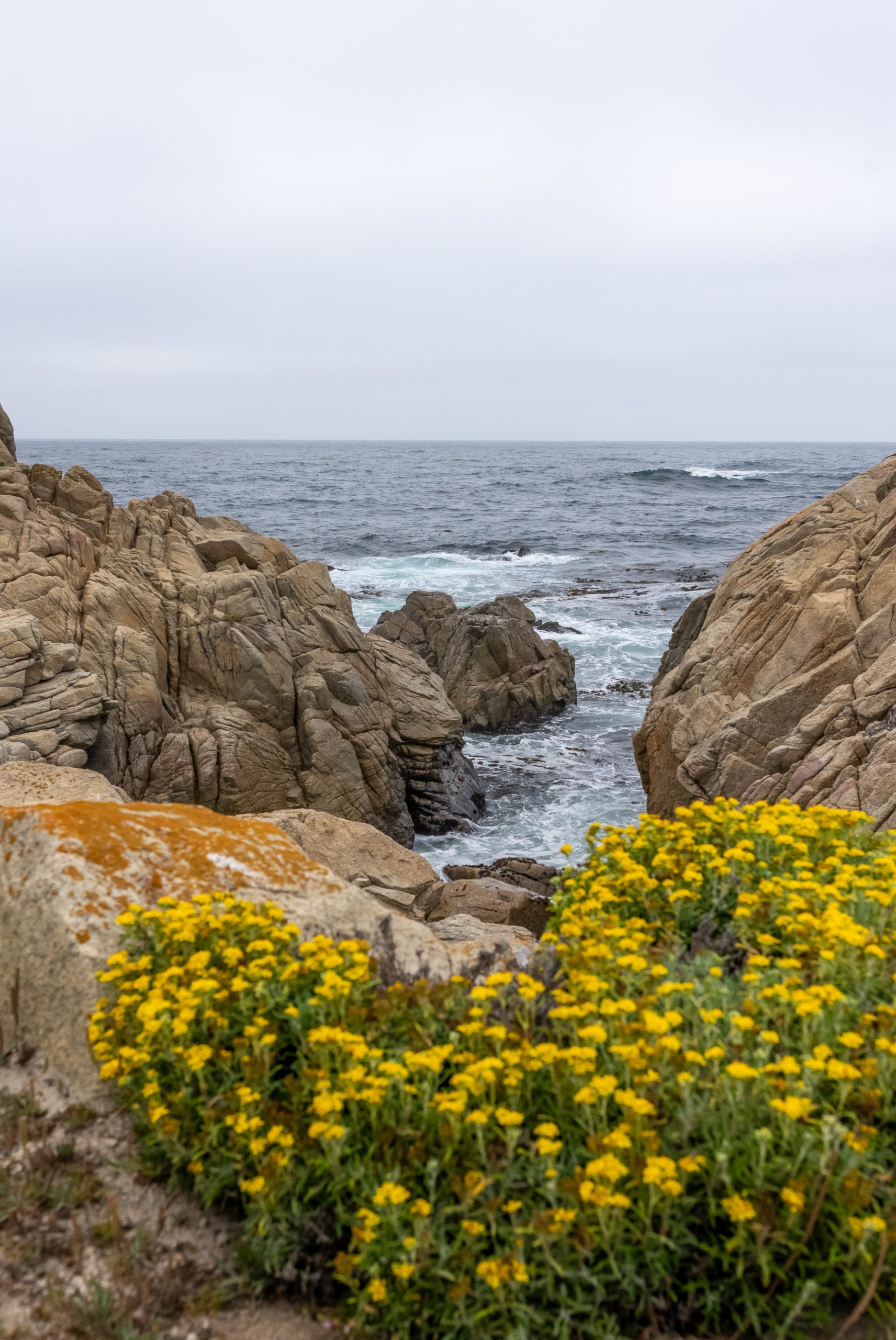 Monterey County travel guide
